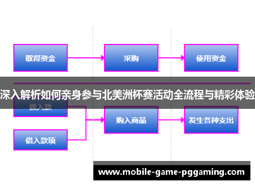 深入解析如何亲身参与北美洲杯赛活动全流程与精彩体验