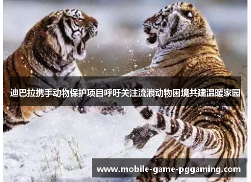 迪巴拉携手动物保护项目呼吁关注流浪动物困境共建温暖家园