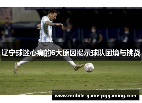 辽宁球迷心痛的6大原因揭示球队困境与挑战