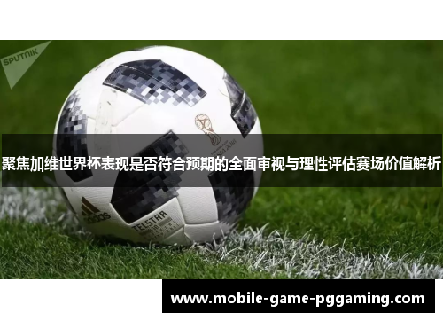 聚焦加维世界杯表现是否符合预期的全面审视与理性评估赛场价值解析